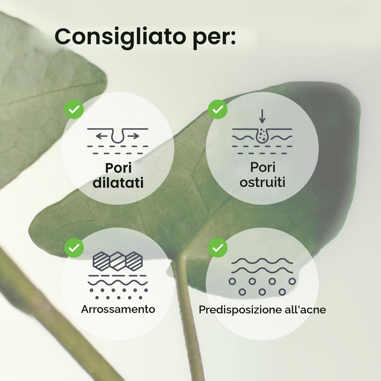 Collagen Gel Mask Heartleaf Jelly Maschera Viso in Hydrogel