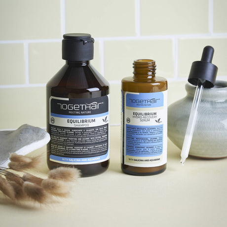 Shampoo Equilibrium
