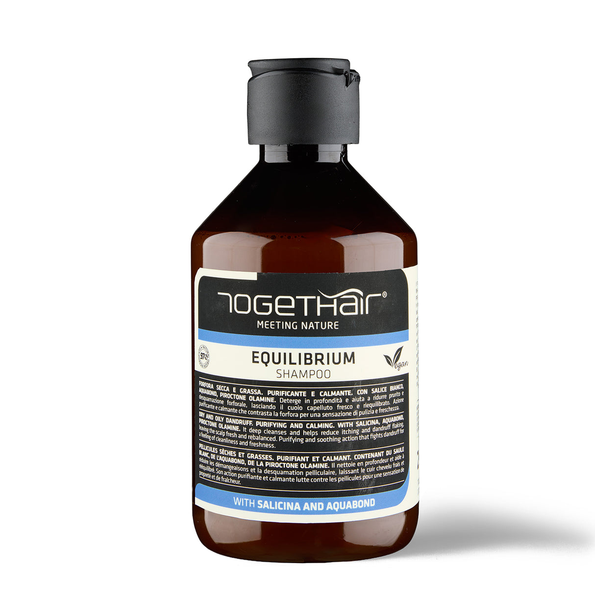 Shampoo Equilibrium