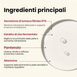 Seoul 1988 Essence Snail Mucin 97% + Rice Essenza Viso