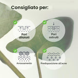Collagen Gel Mask Heartleaf Jelly Maschera Viso in Hydrogel
