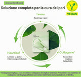 Collagen Gel Mask Heartleaf Jelly Maschera Viso in Hydrogel