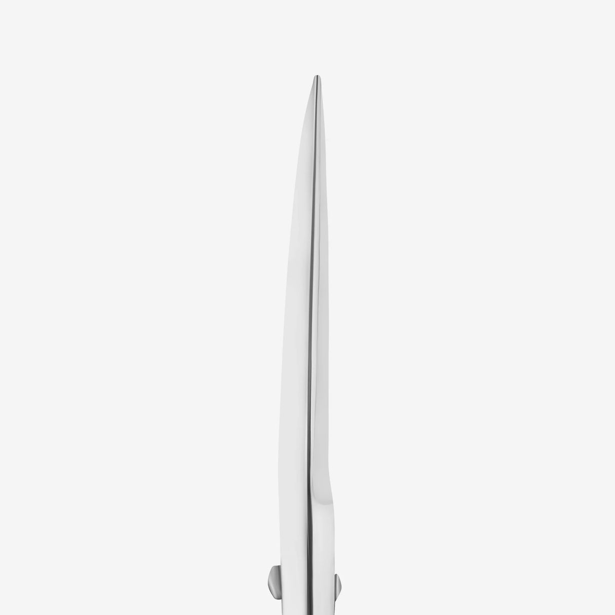 Forbici professionali per sopracciglia EXPERT 30 TYPE 1 (32 mm)